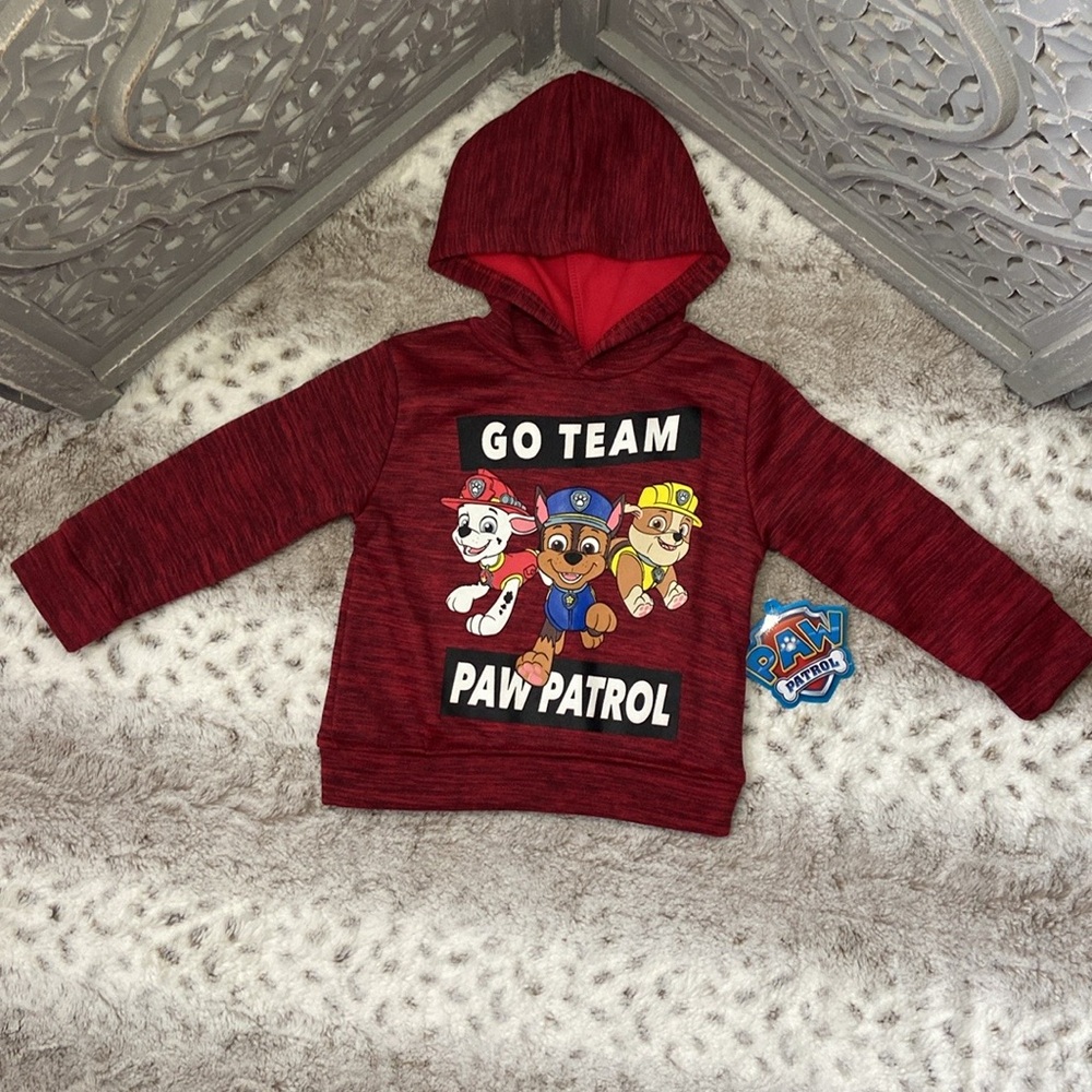 NWT! Nickelodeon Paw Patrol pull over hoodie boys size 2T kidcore preschool fall